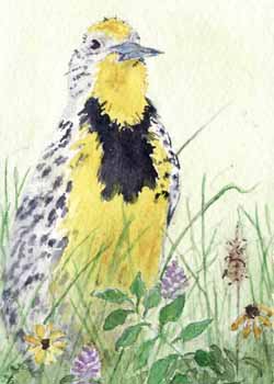 "Meadowlark" by Jean Tupper, Madison WI - Watercolor